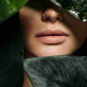 fermented skincare ingredients